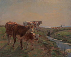 Image of Three Cows and a Calf