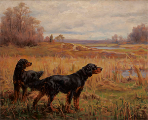 Image of Two Gordon Setters in a Field