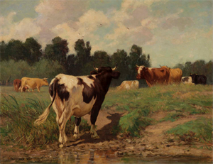 Image of Cattle in Meadow