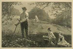 Image of Making Hay