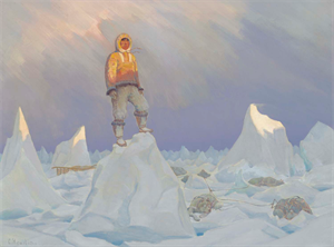 Image of Arctic Scene