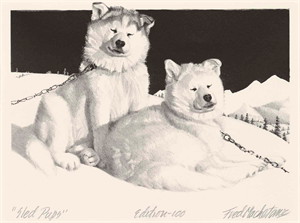 Image of Sled Pups