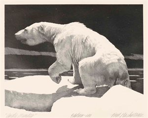 Image of Arctic Hunter