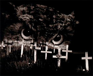 Image of The Owl Called My Name
