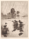 Image of Ducks in the Rain