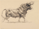 Image of El Toro (The Bull)