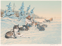 Image of Iditarod Memories