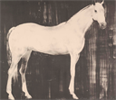 Image of Horse II
