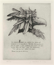 Image of Eagle, from the series A Moral Alphabet of Vice and Folly