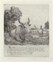 Image of Sacred Cow, from the series A Moral Alphabet of Vice and Folly